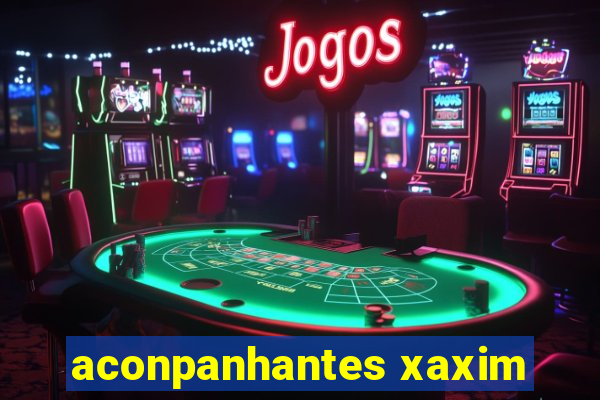 aconpanhantes xaxim